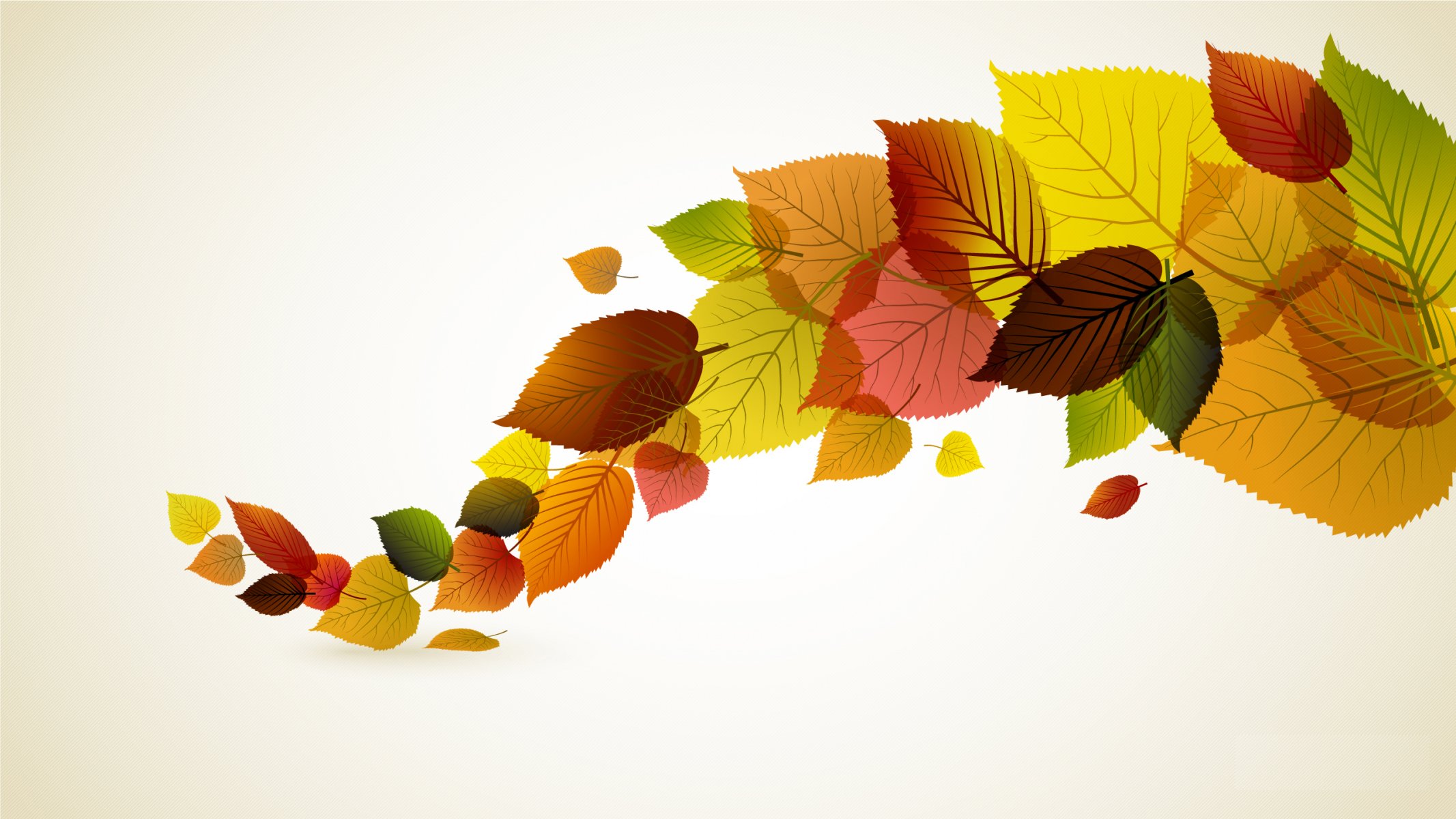 minimalism autumn leaves vector