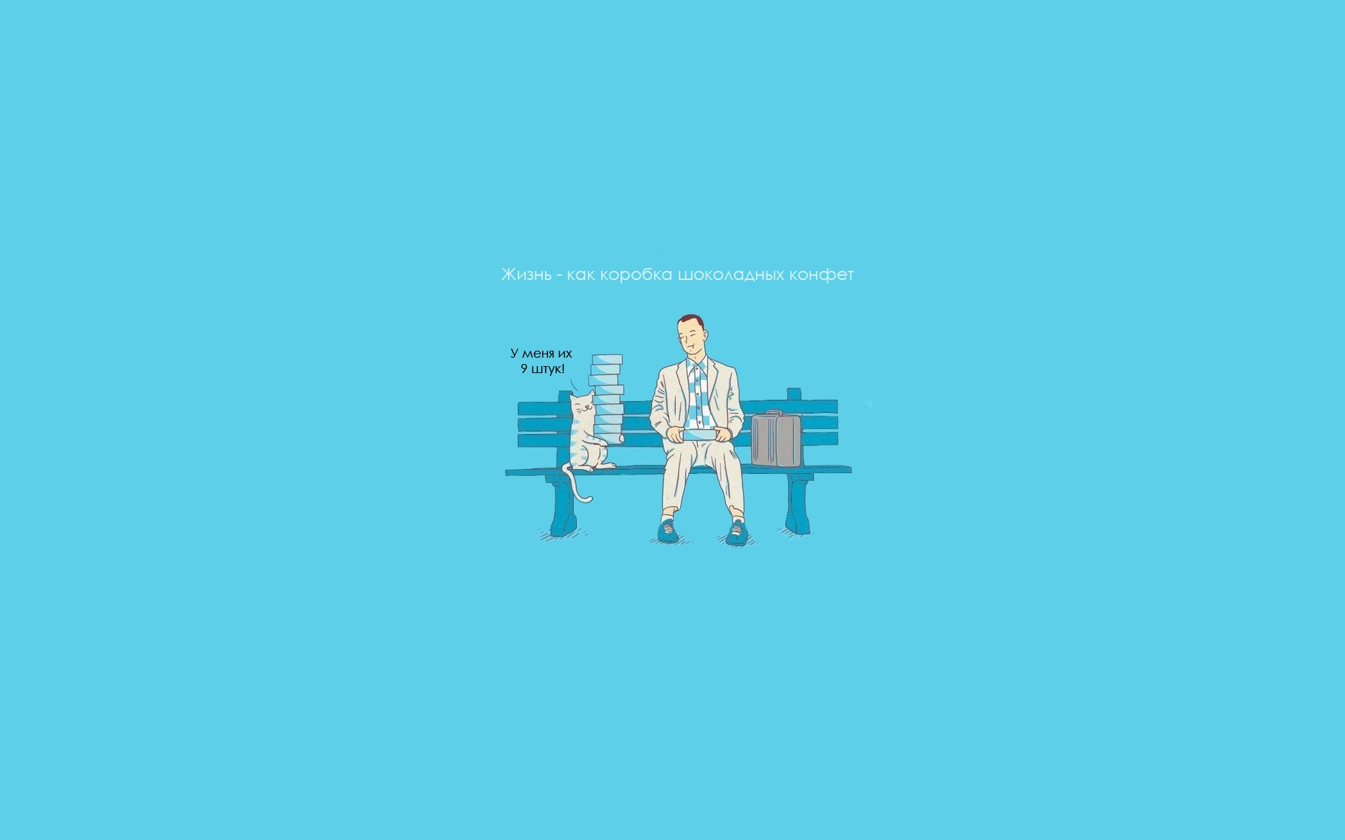 cat forrest gump candy candy inscription blue background