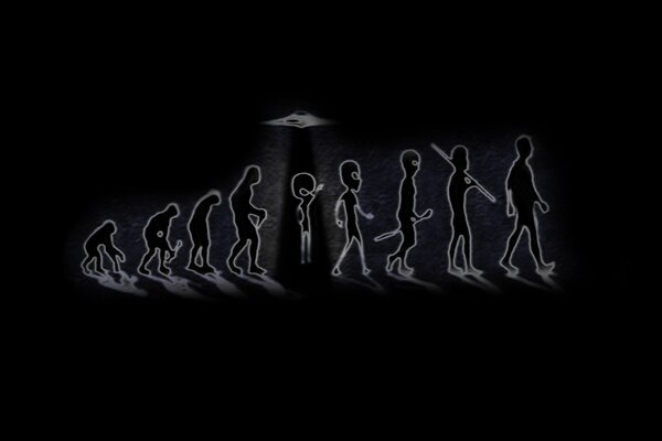 Human evolution from beginning to end