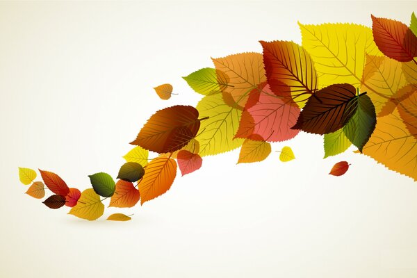 Vector drawing autumn leaves