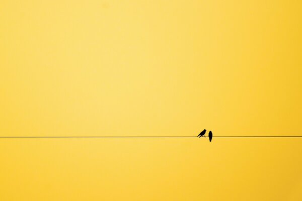 Due uccelli su una linea su sfondo giallo