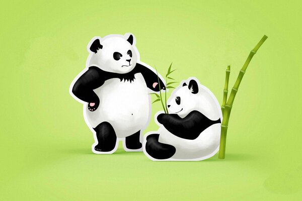 Comical pandas in bamboo on a green background