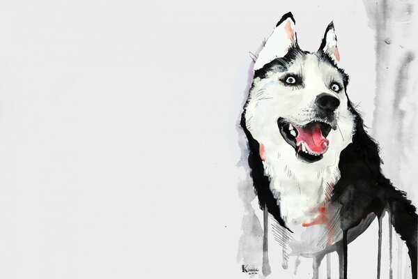 Dibujo en acuarela. Husky con la boca abierta