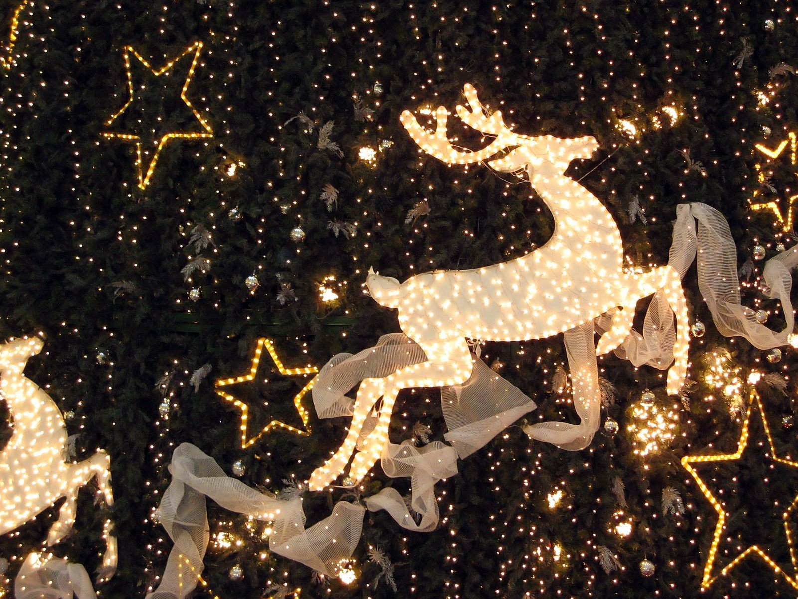 reindeer lights decoration