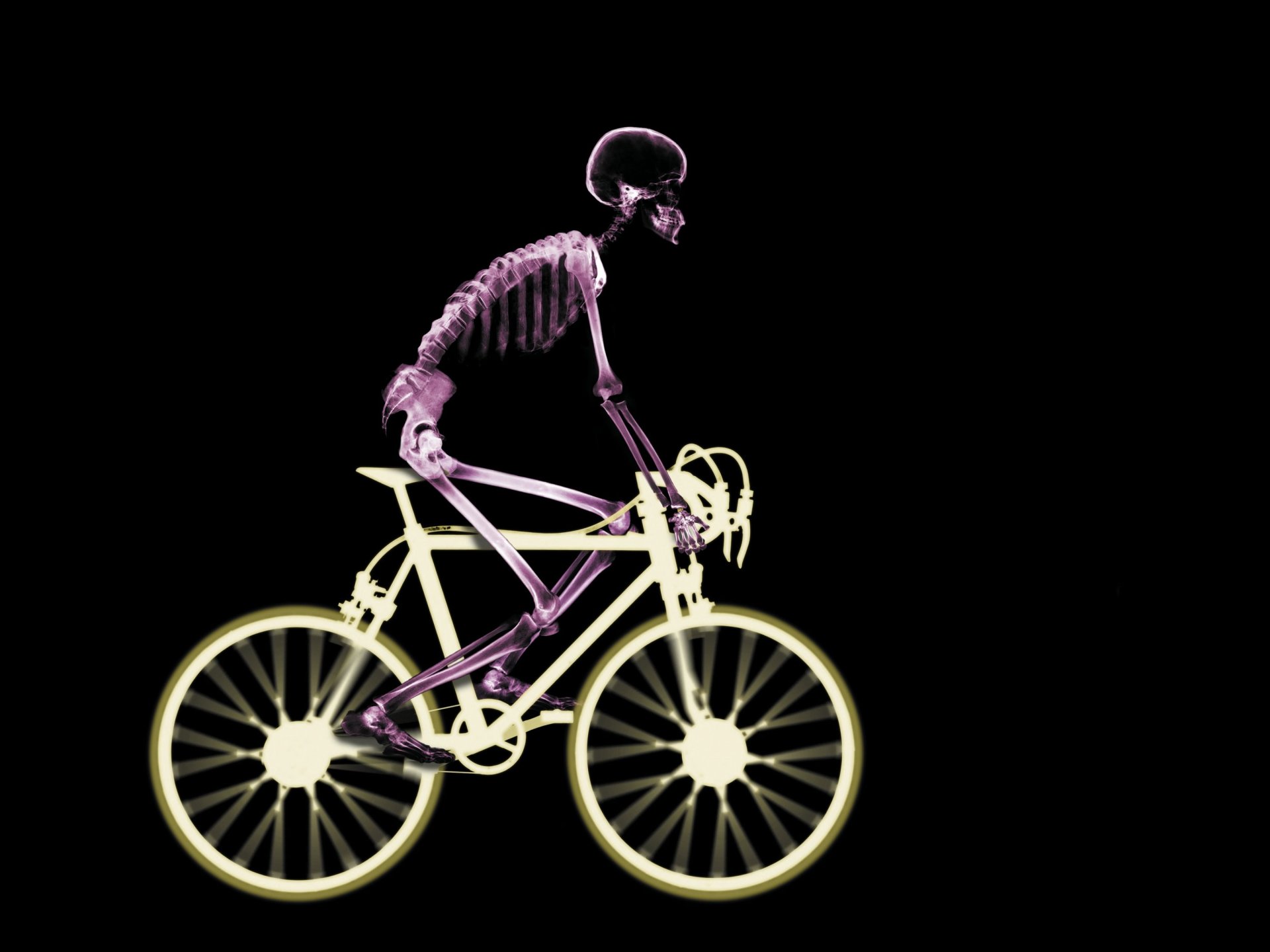 keleton bike x-ray