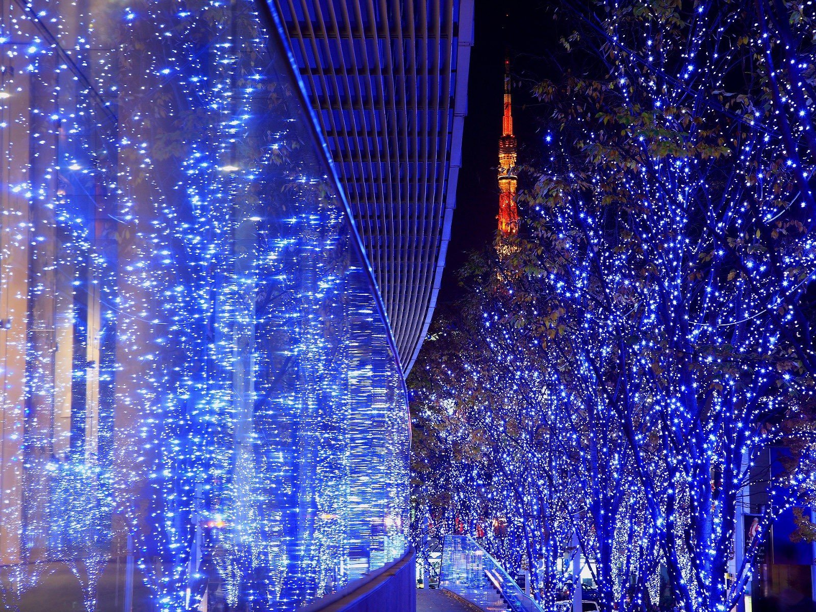 l éclairage les arbres les feux de l 