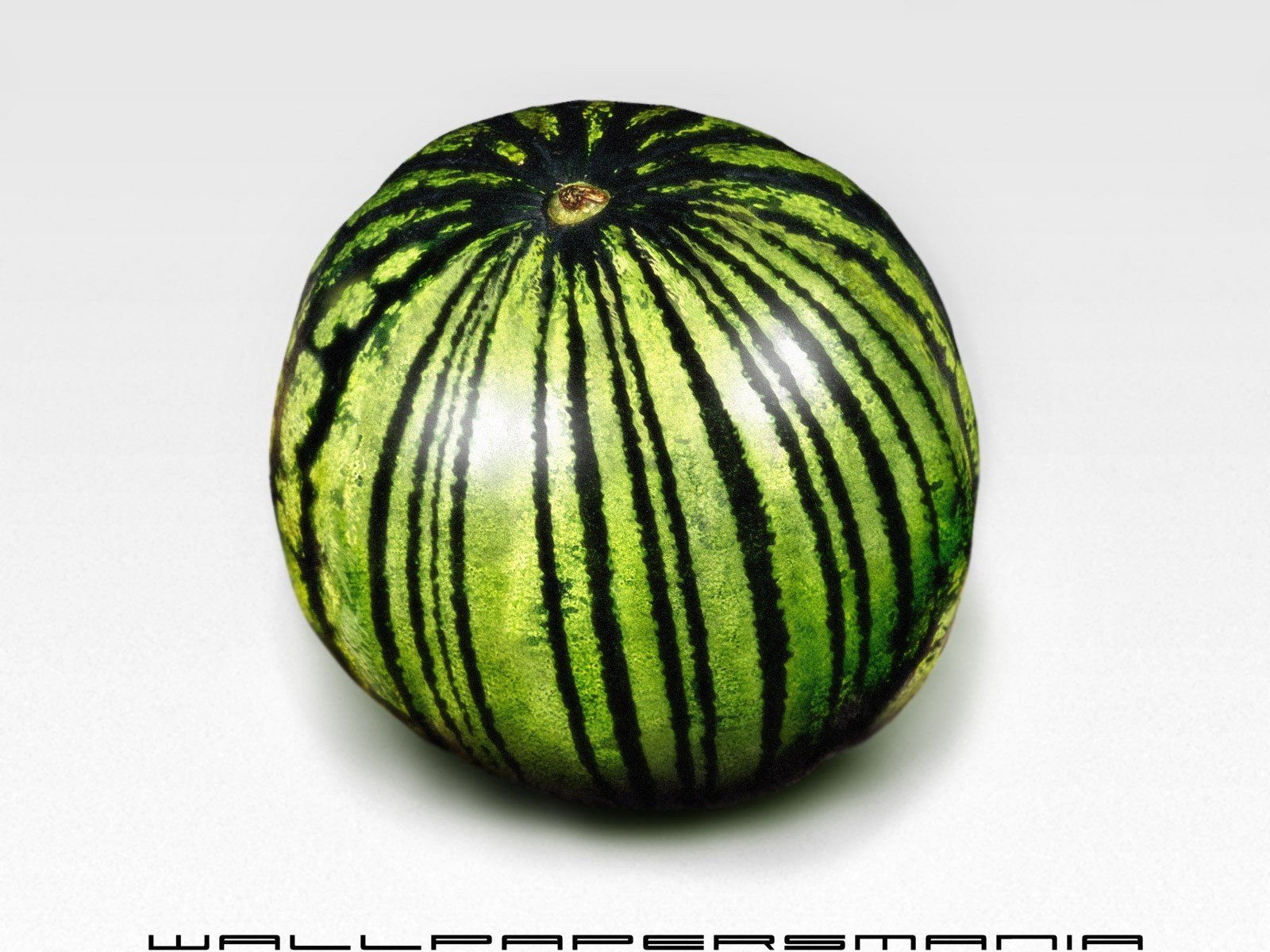 minimalismus wassermelone linien