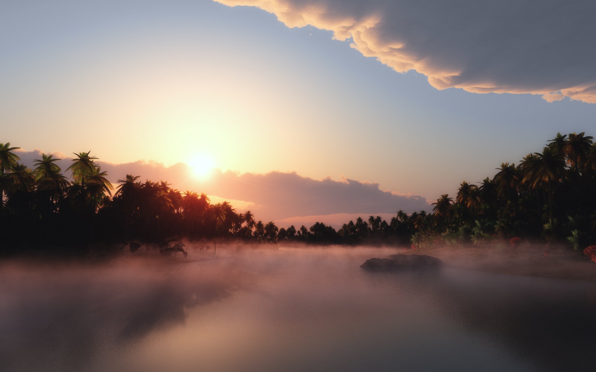 palme nebbia sole cielo nuvole