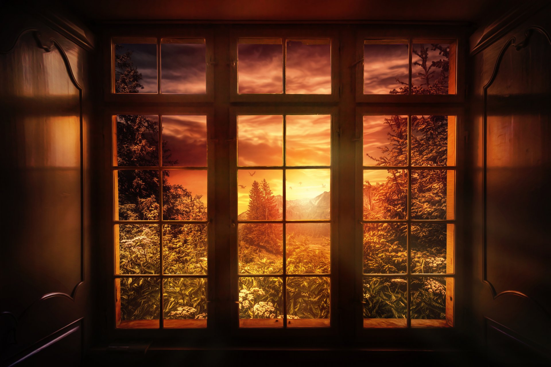 good night window nature sunset processing