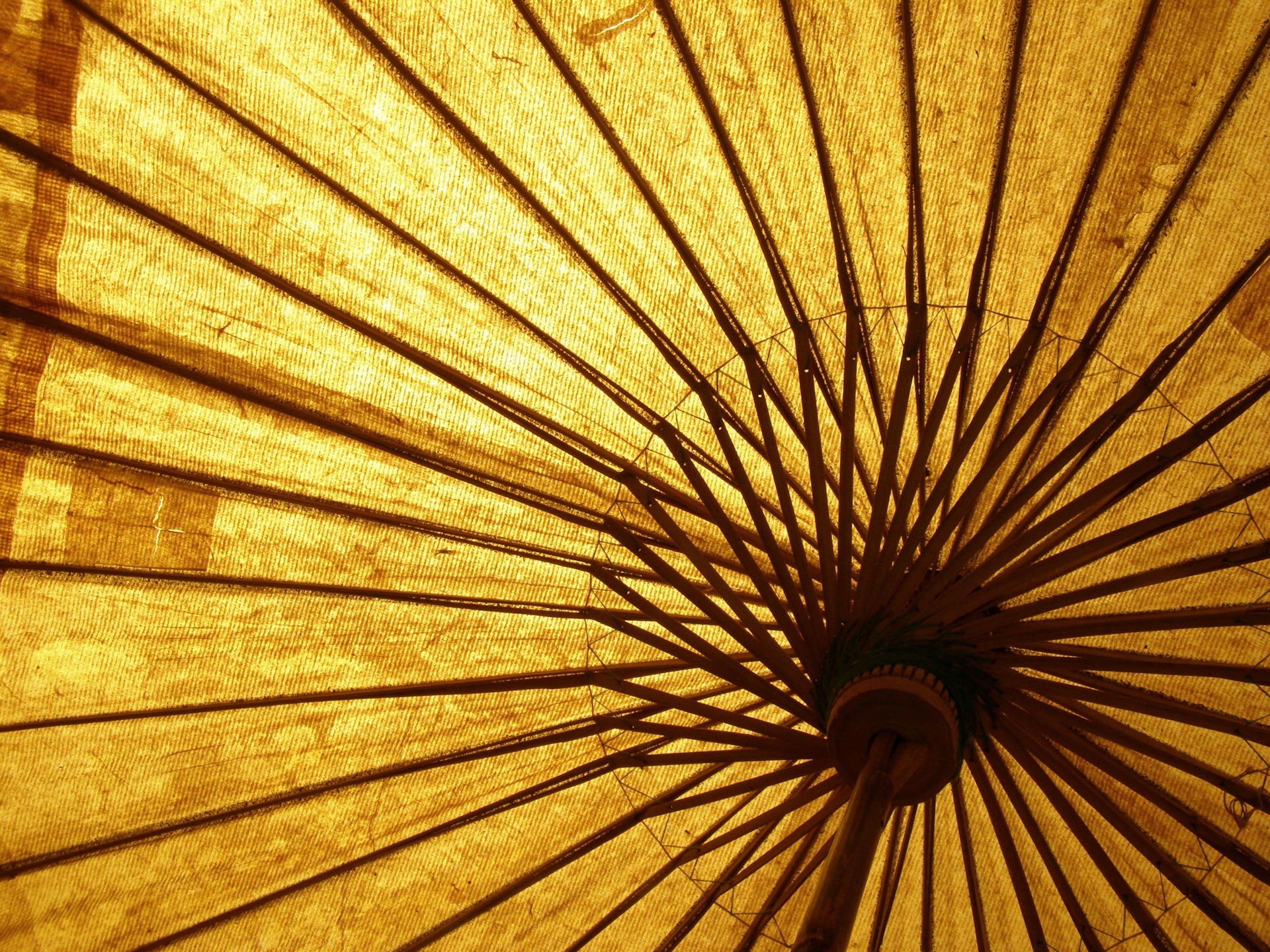 umbrella wood yellow