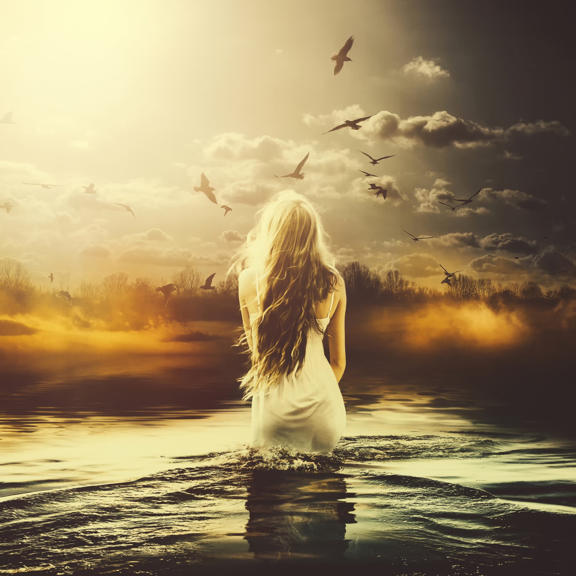 melancolia girl in water birds art