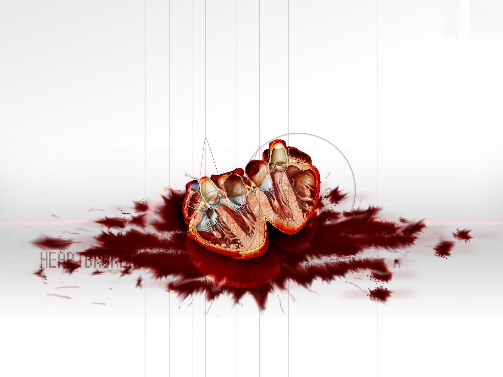 heart cut blood