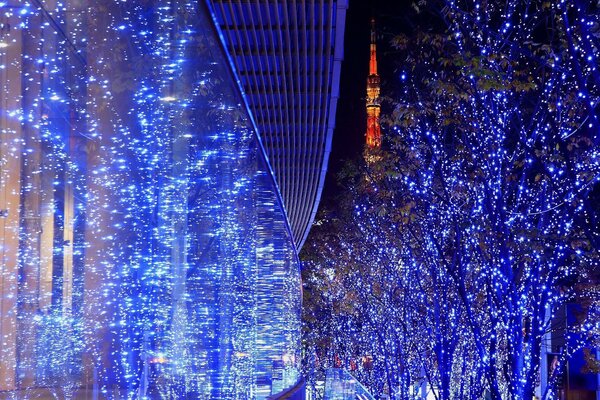 Trees decorated with garlands and on the street