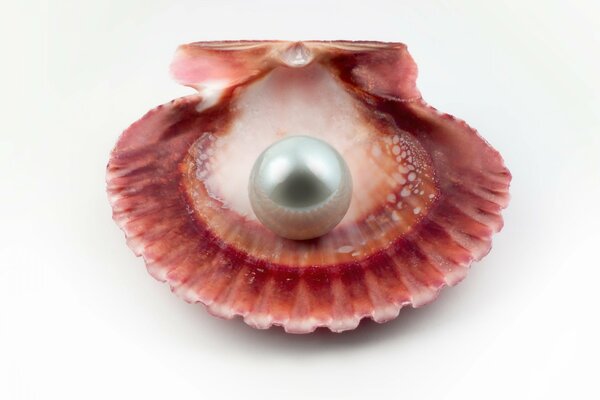 A beautiful pearl from the bottom of the ocean