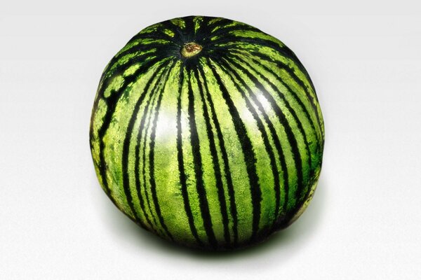 Die Wassermelone hat sich mit minimalistischen Linien ergeben