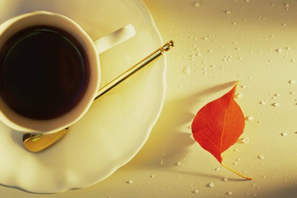 A cup of coffee in rainy, autumn weather