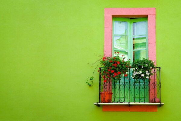 Schöne Blumen auf dem Balkon