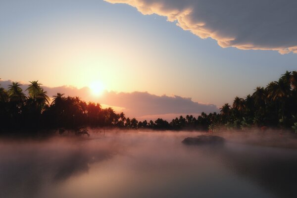 Soleil à travers le brouillard et les palmiers