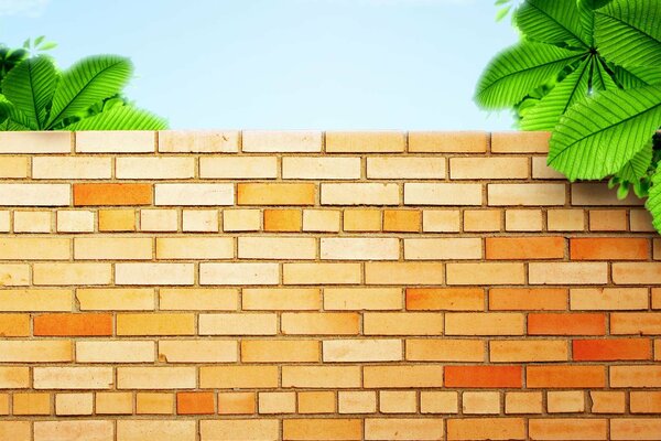 Green palm leaves on a brick wall