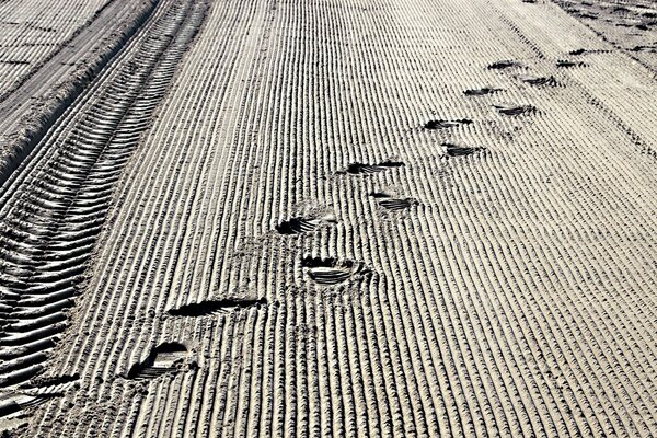 Footprints on the sandy border strip
