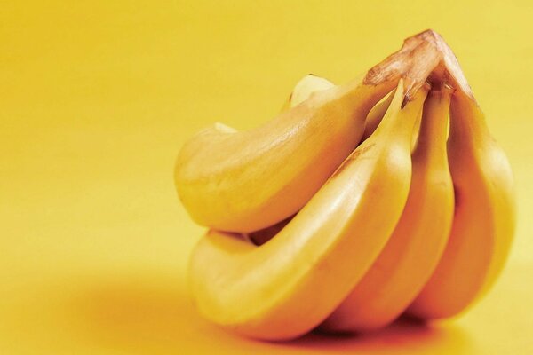 Yellow bananas of perfect ripeness on a yellow background