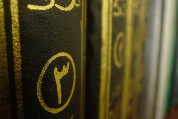 Brown book binding with a golden sign