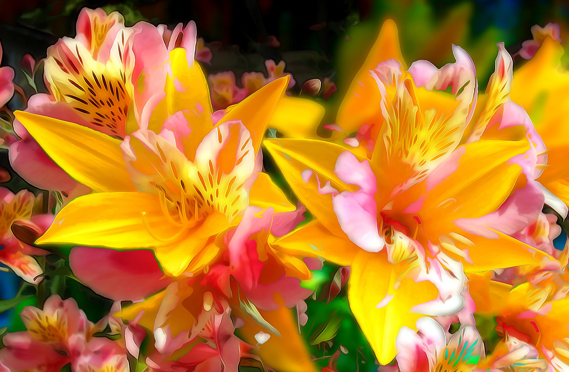 flores lirio pétalos líneas cama de flores jardín