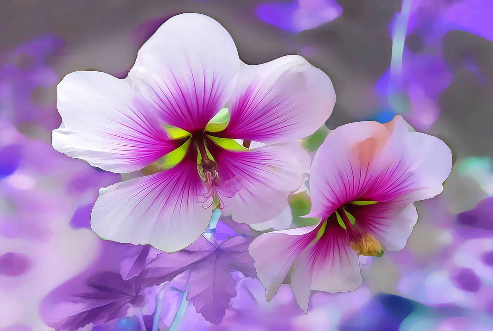 blumen makro blütenblätter linien garten