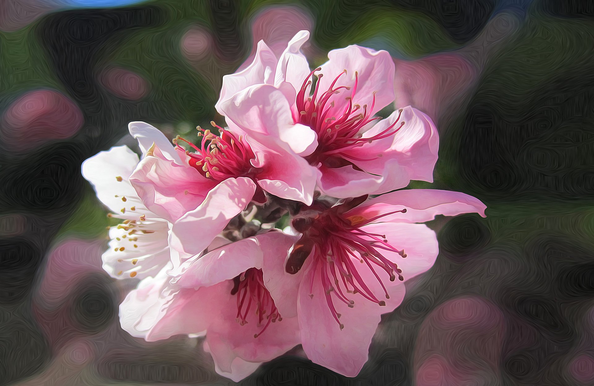 le printemps le jardin les fleurs macro des lignes des codes à barres