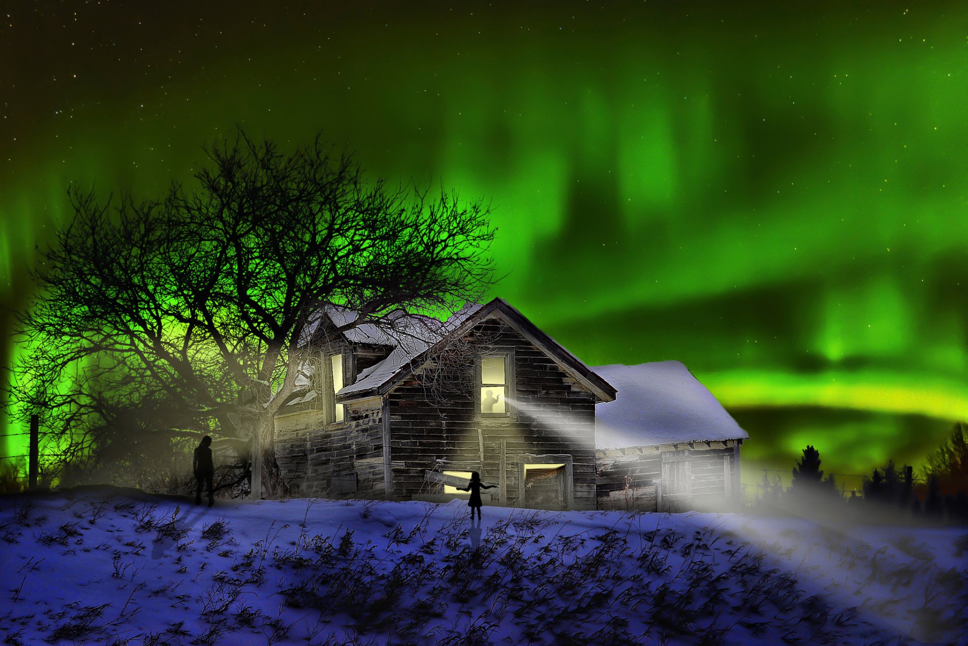 the visitors night house northern lights silhouette