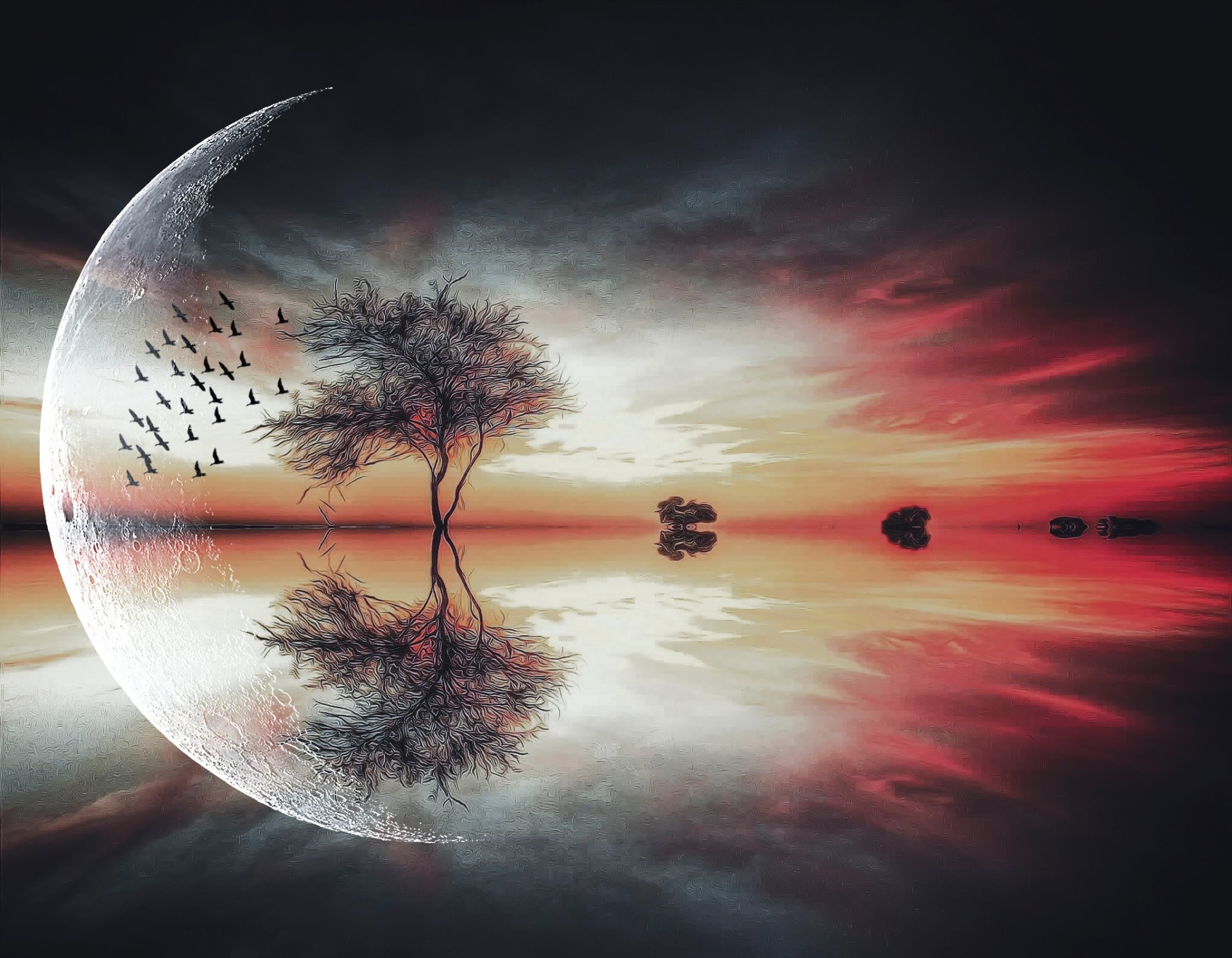 fantasy moon tree bird