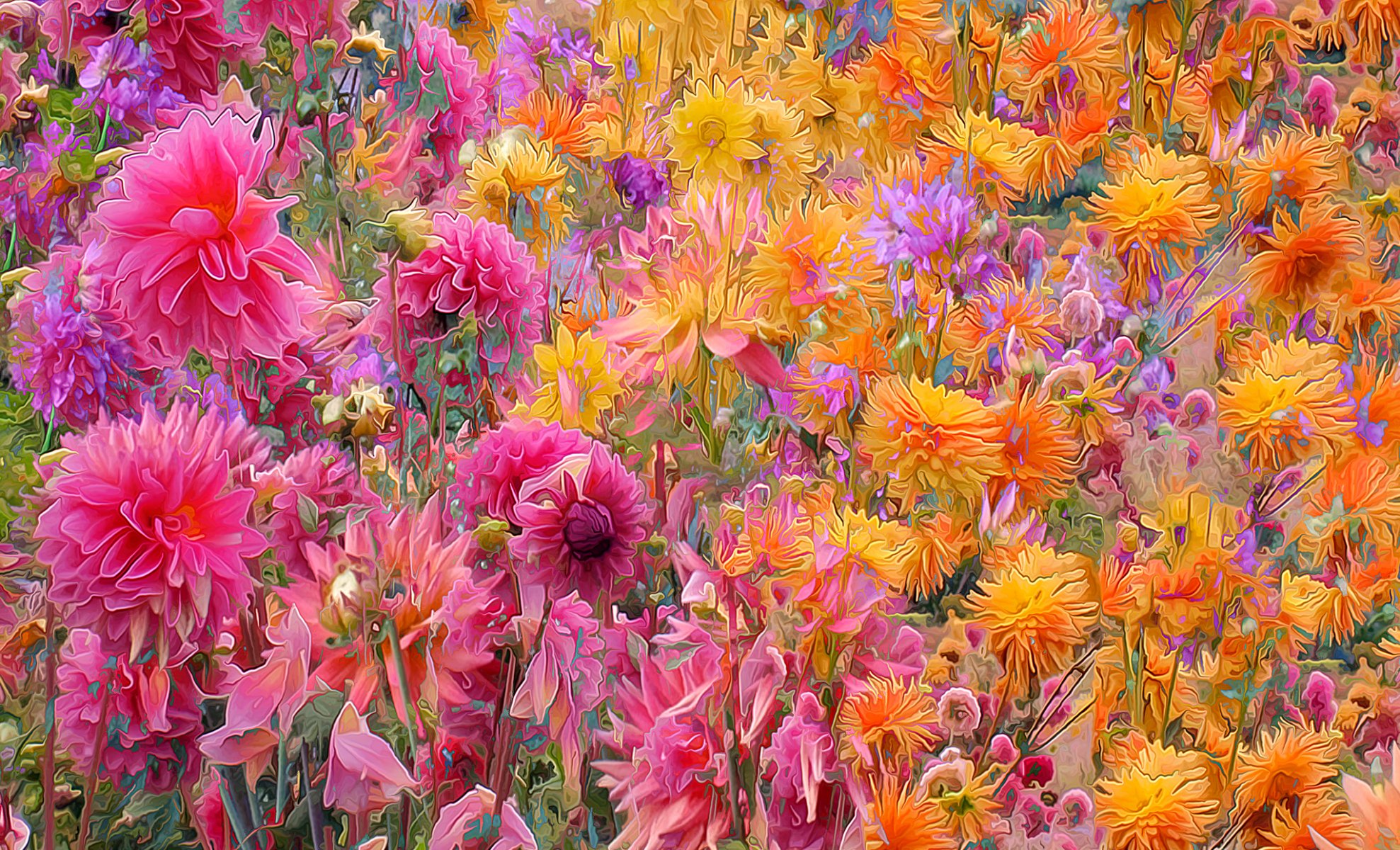 fleurs prairie jardin pétales