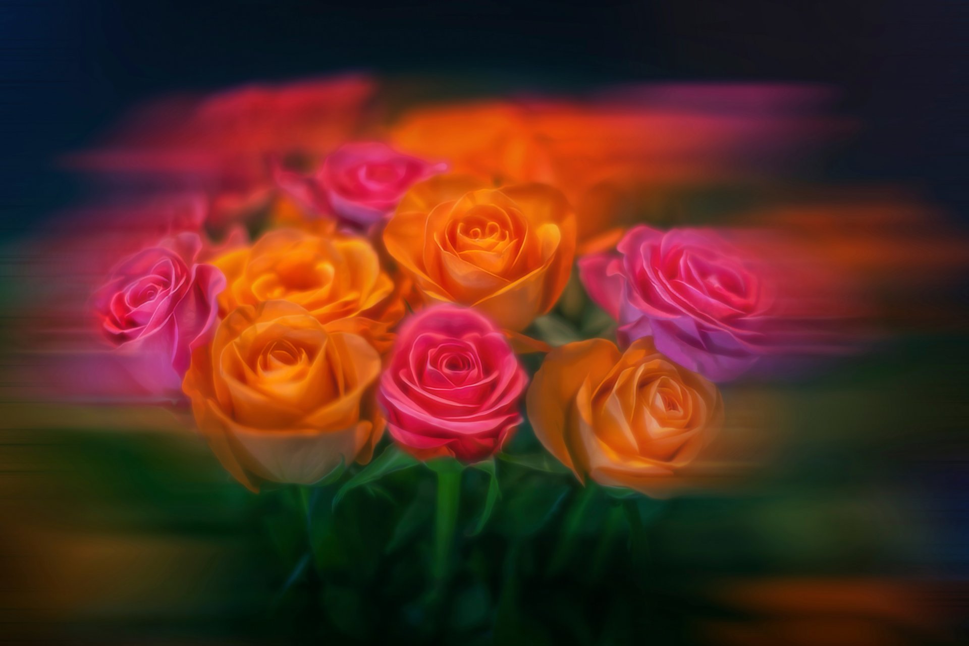 flower roses bouquet processing blur