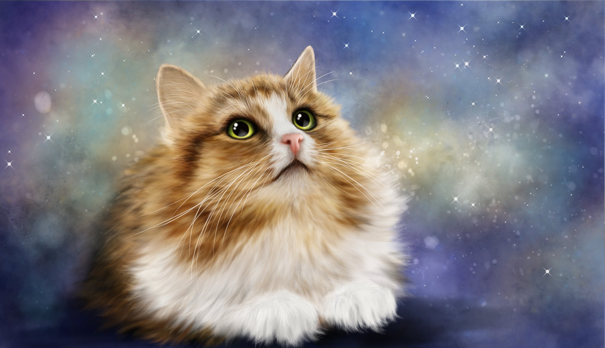 kote cat cat look rendering background