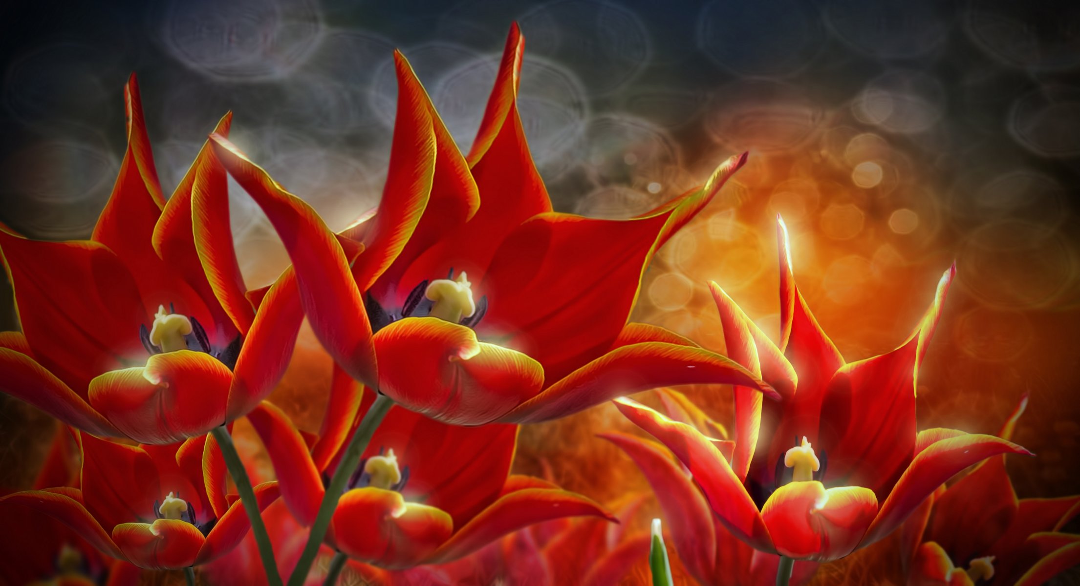 3d flores tulipanes