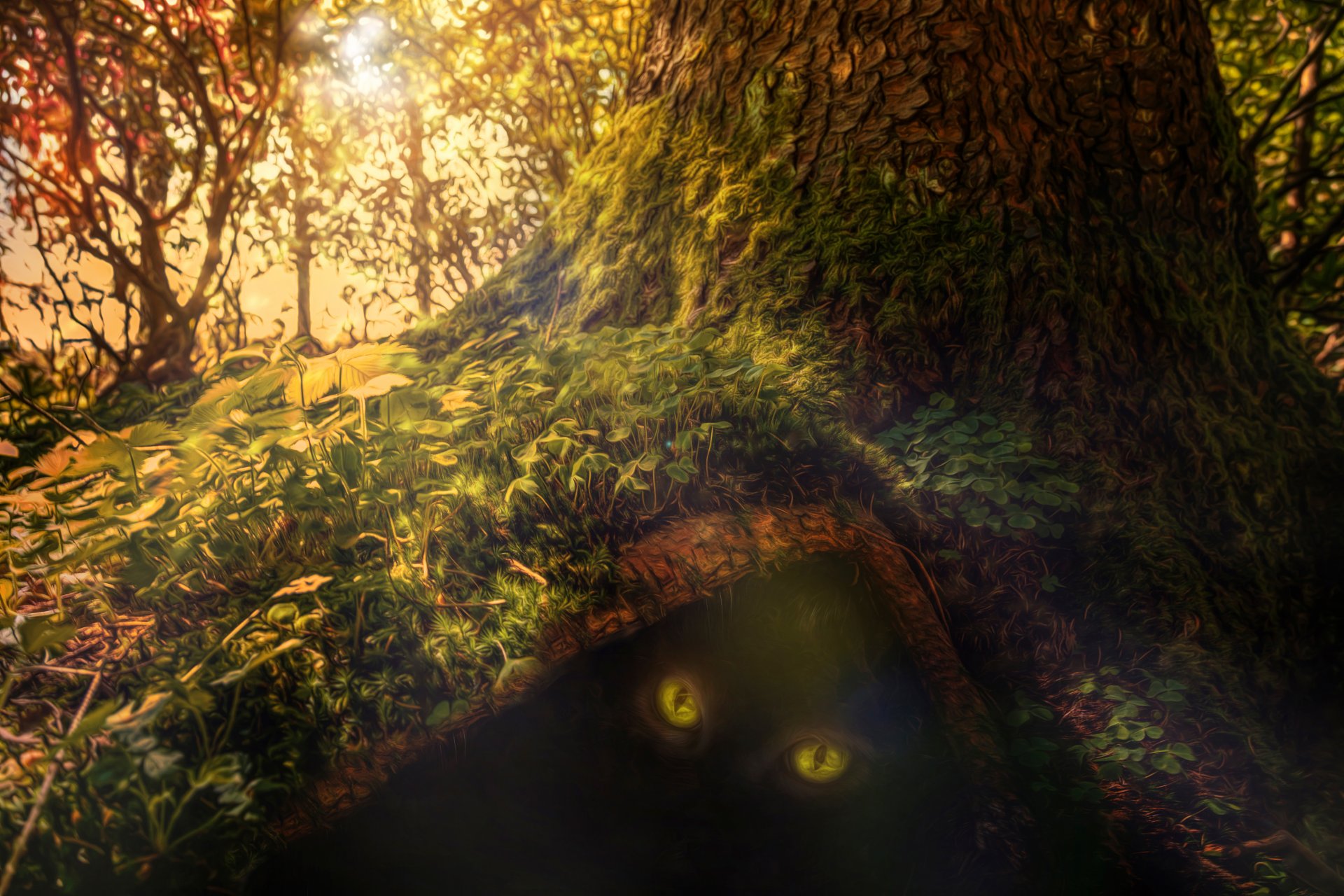 komm näher wald baum augen tier verarbeitung