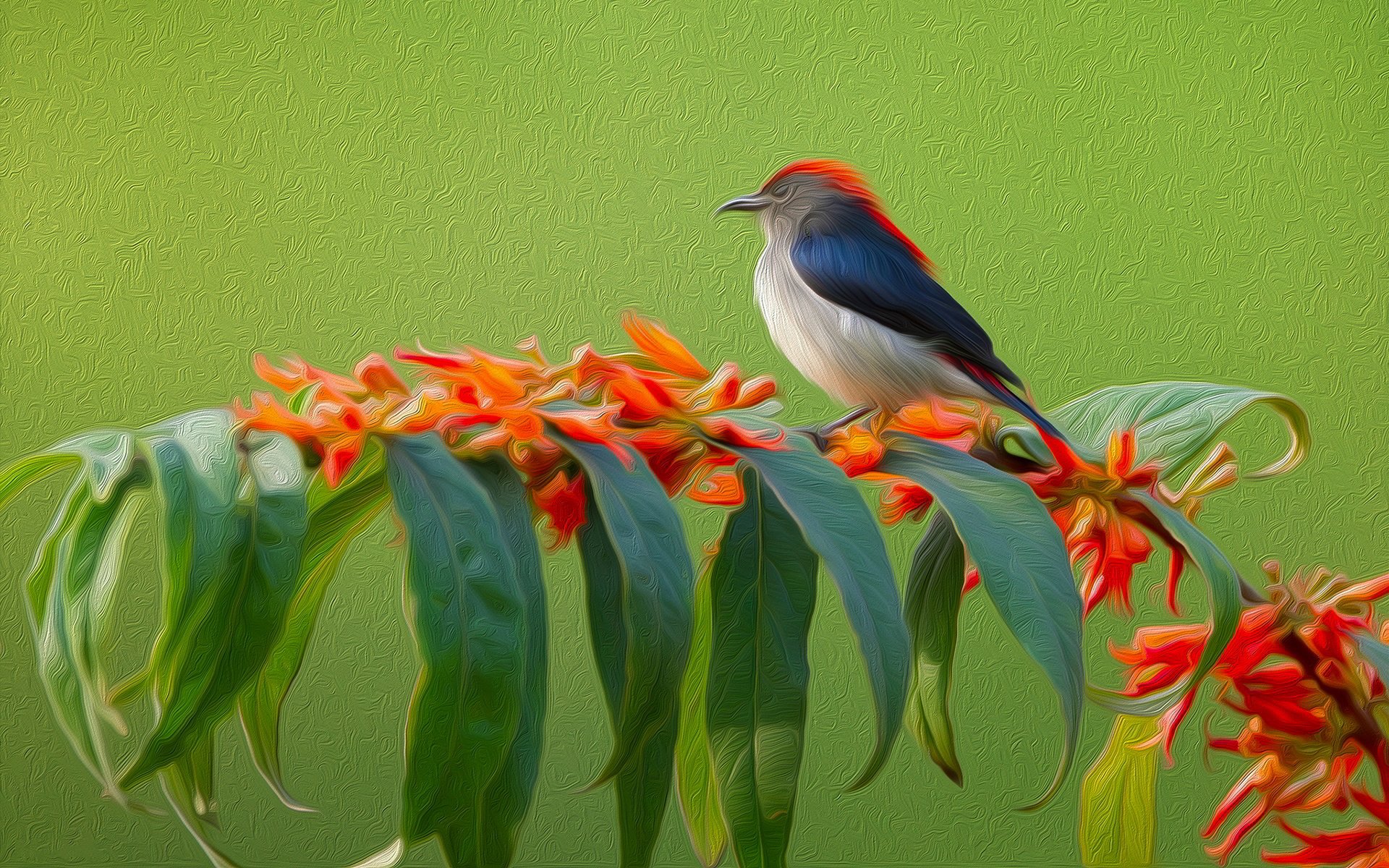 la ligne le trait oiseau branche feuilles nature