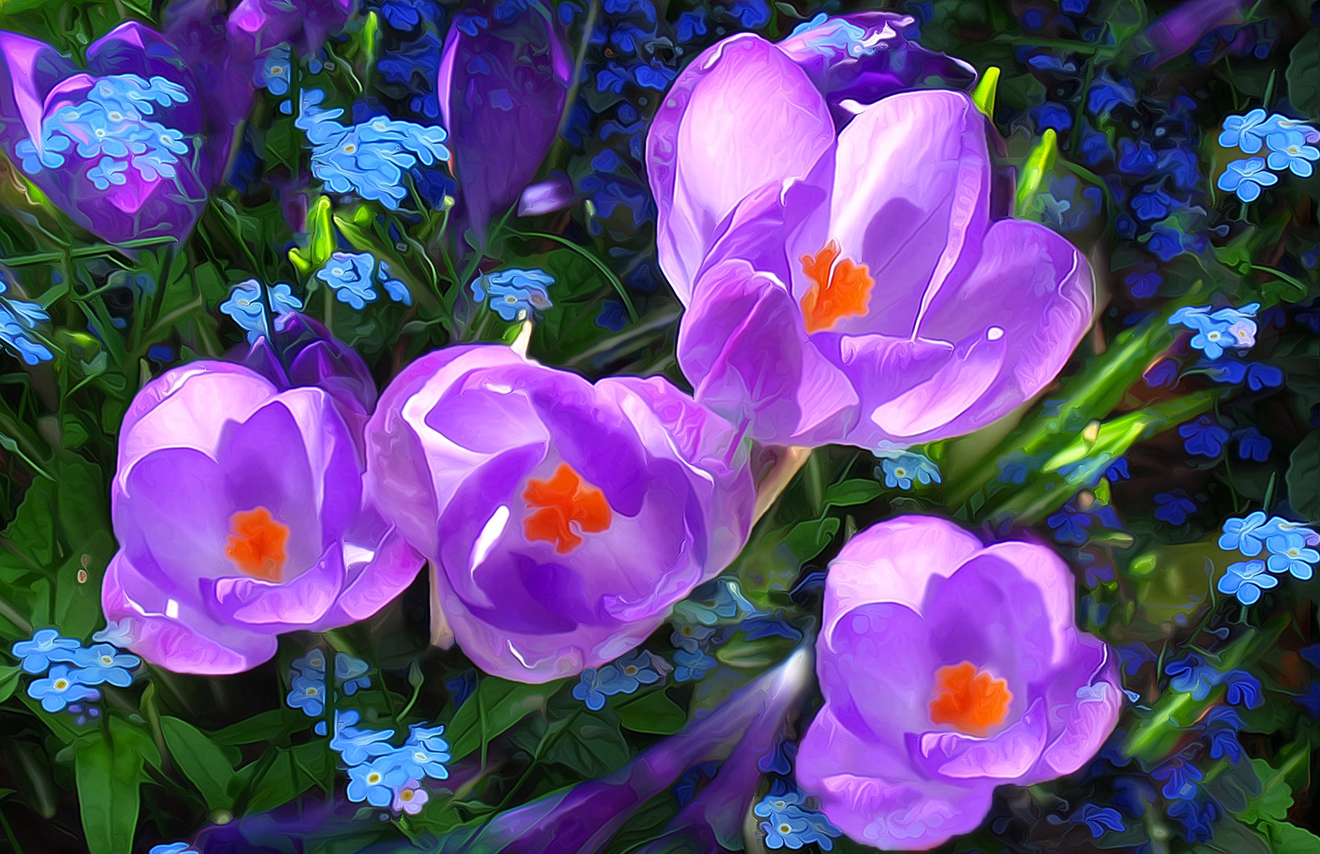 wiese feld gras blumen krokus linien