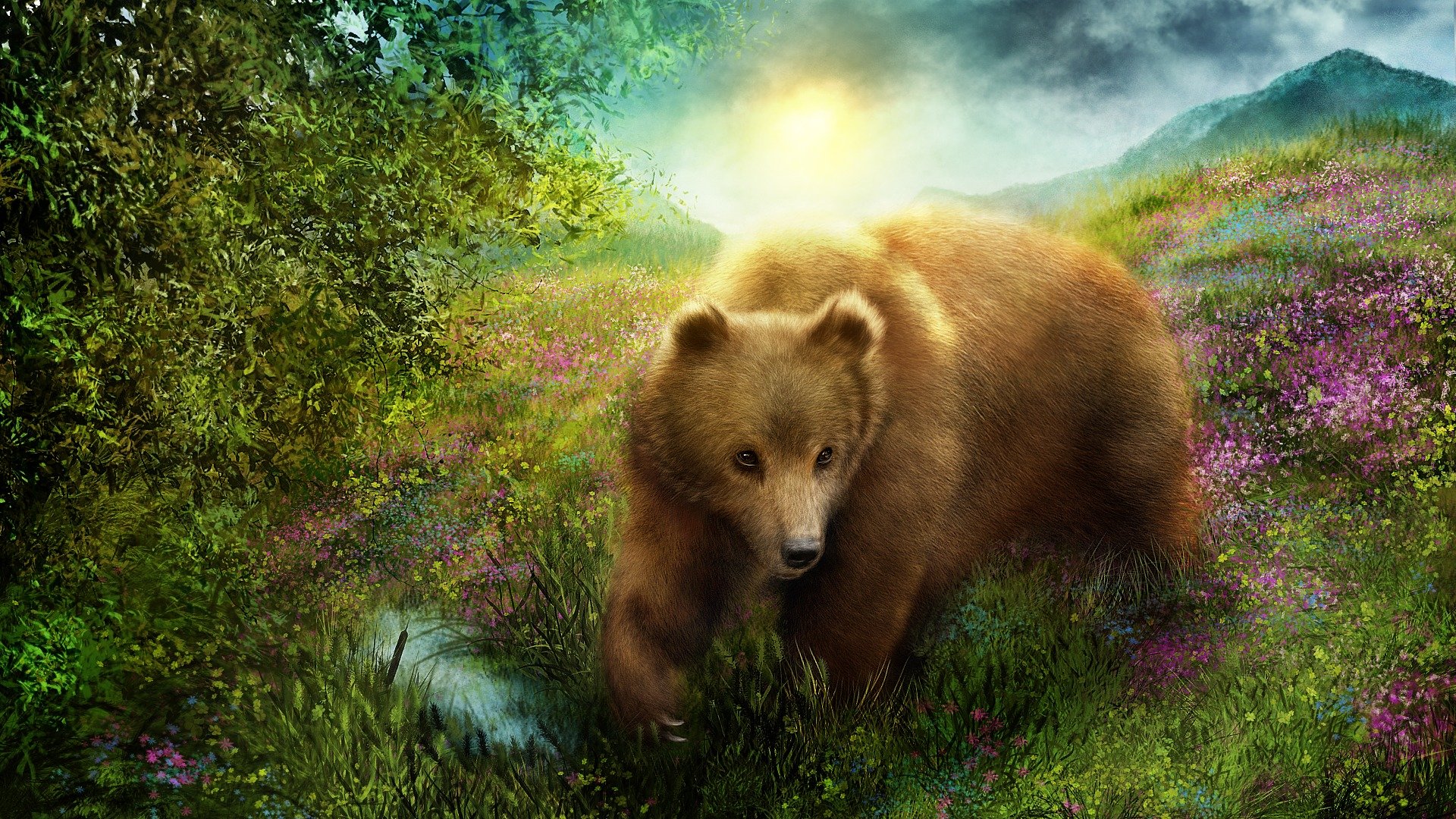 l ours l ours l herbe la nature le rendu