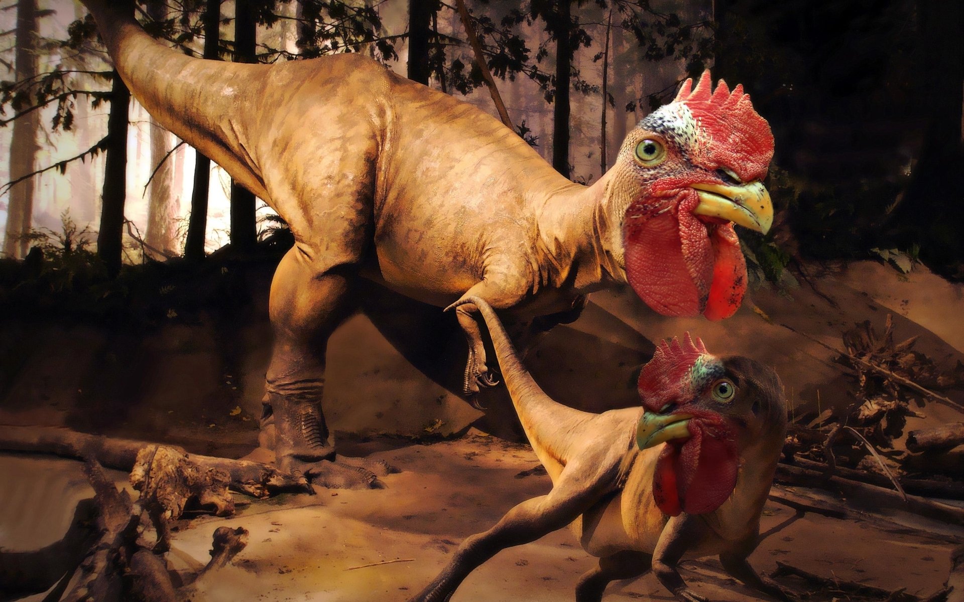 gallo rex dinosaurio