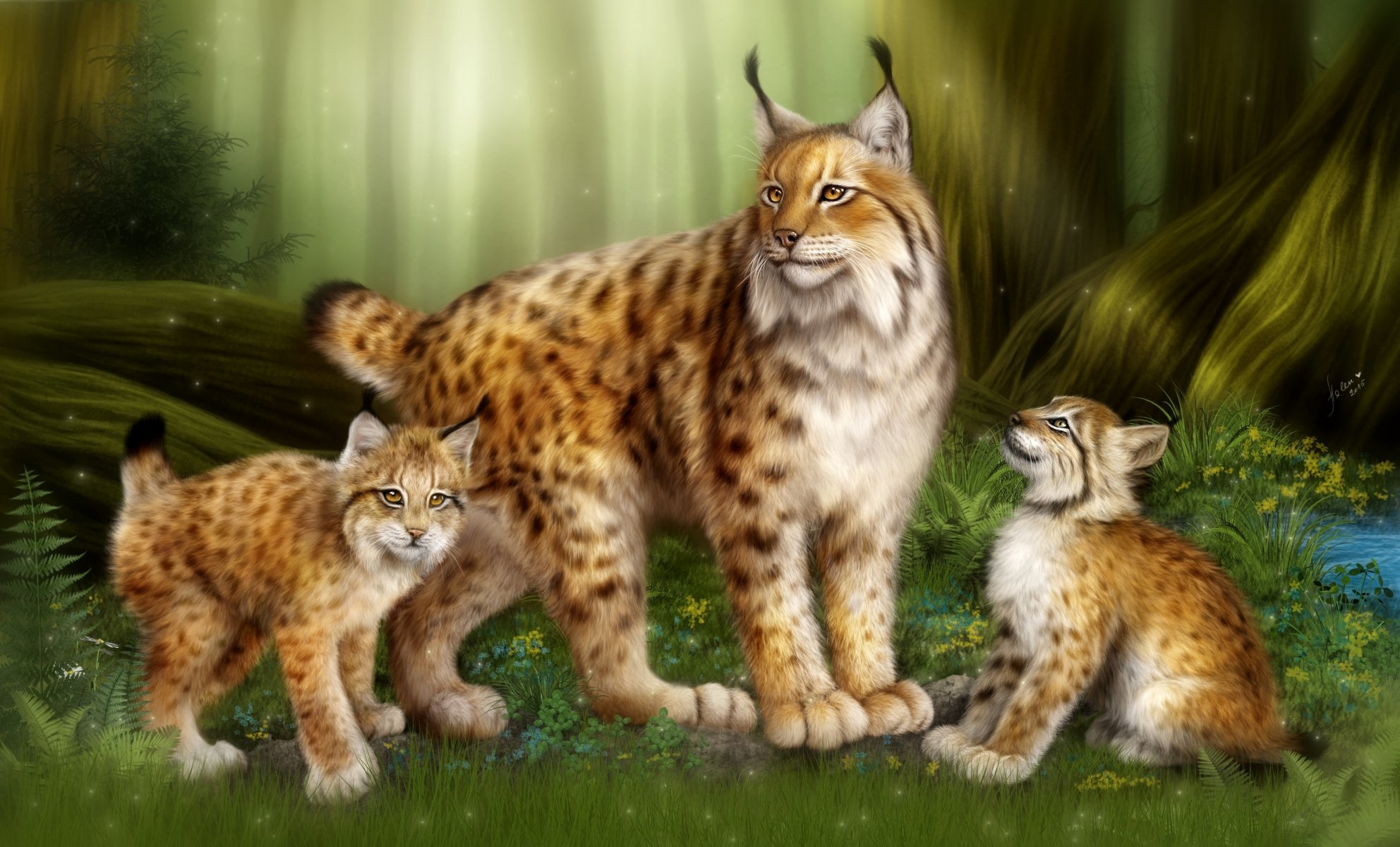 lince gatti famiglia foresta gattini mamma bambini