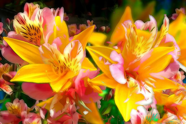 Beautiful lilies on a flower bed in the garden
