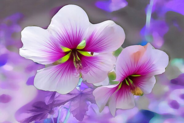 Die lila Blumen riechen sehr lecker, ich habe das gleiche zu Hause