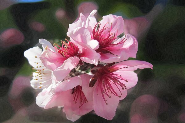 Delicato fiore rosa nel giardino di primavera
