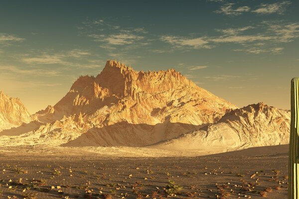 Die großen Berge und der Kaktus in der Wüste