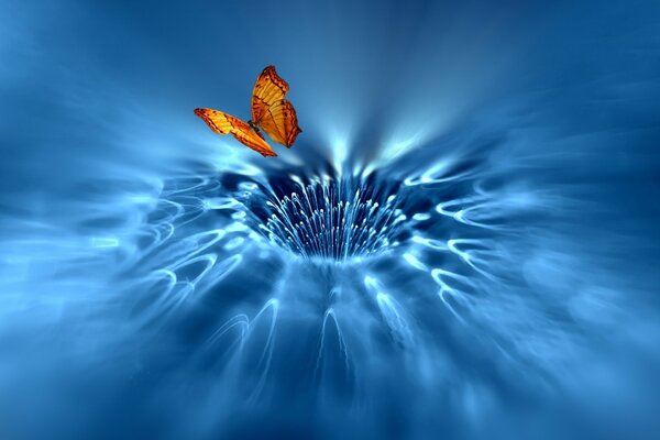 Piękny motyl nad niebieskim strumieniem