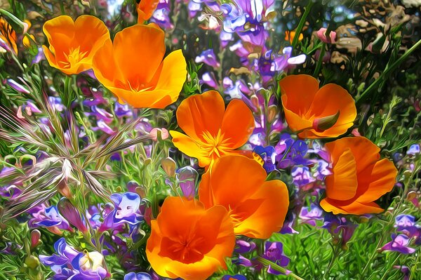 Flores silvestres en el calor del verano