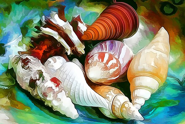 Picture colorful seashells