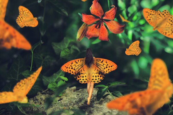 Dziewczyna ze skrzydłami motyli stoi plecami