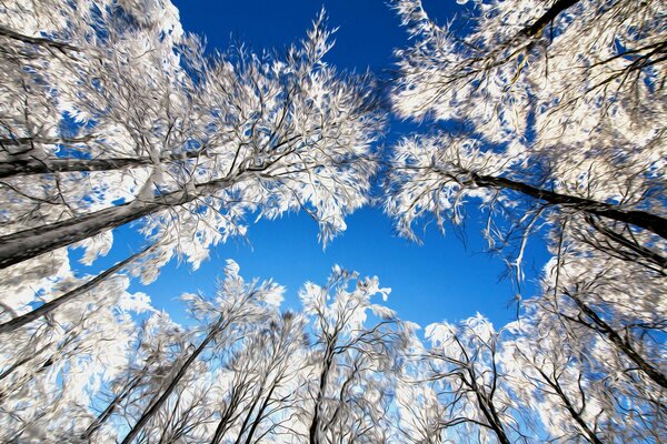 Winterwald auf Himmelshintergrund